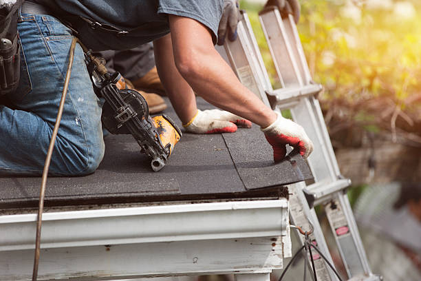 Best Metal Roofing Contractor  in Braska City, NE